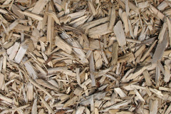 biomass boilers Ganarew